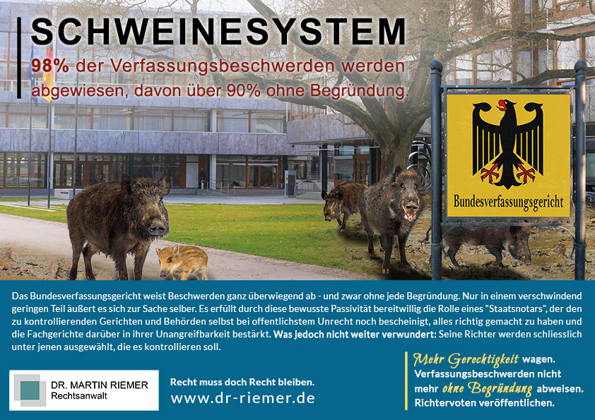 BVerfG_Schweinesystem_www_dr_riemer_de